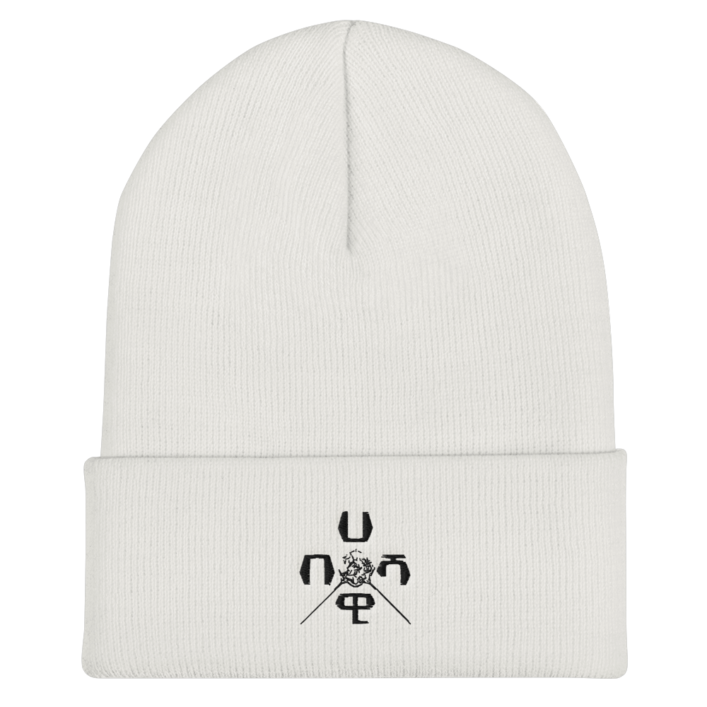 X-Habeshawwi is simply a snug, form-fitting beanie. It's not only a great head-warming piece but a staple accessory in anyone's wardrobe. Habesha Beanie hats | Habeshawi Streetwear | Habeshawwi